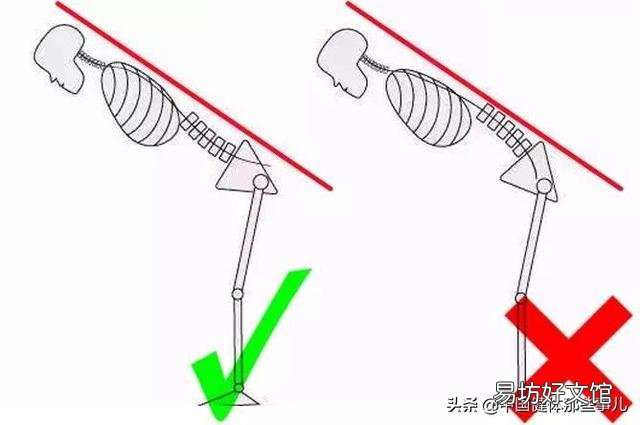 如何系统地健身,练肌肉?
