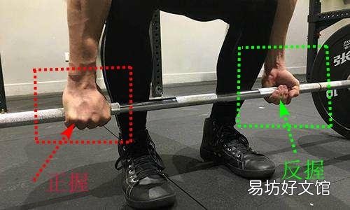 正手和反手引体向上锻炼效果有区别吗？