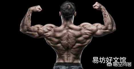 正手和反手引体向上锻炼效果有区别吗？
