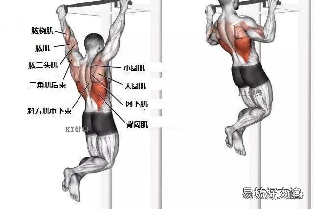 正手和反手引体向上锻炼效果有区别吗？