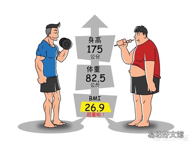 全身的肉很结实该怎么减肥?饮食上该注意什么?