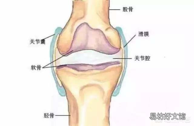 健身时,关节发出响声正常吗?这是为什么?