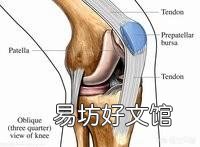 健身时,关节发出响声正常吗?这是为什么?