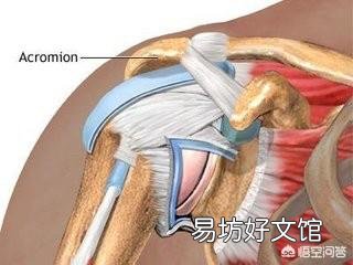 健身时,关节发出响声正常吗?这是为什么?