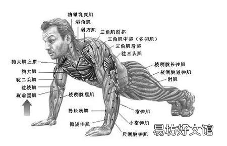 60岁了能作40个俯卧撑,身体素质怎么样?