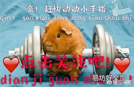 三角肌能每天都炼吗？为什么？