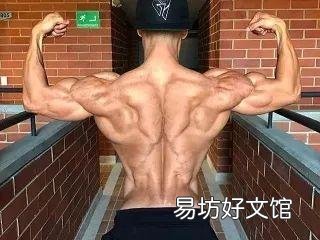 引体向上适合天天练吗?