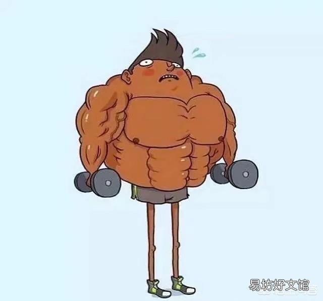 健身到底是把腿当重点练,还是当辅助练?