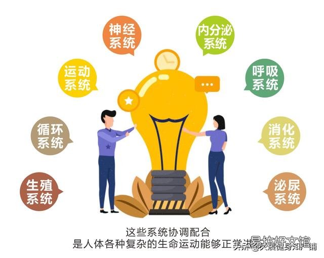 健身包括哪些方面？为什么有人认为只有健身房里面的健身才是健身？