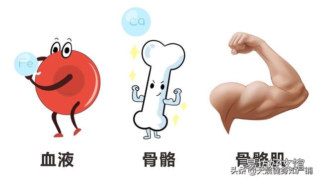 健身包括哪些方面？为什么有人认为只有健身房里面的健身才是健身？