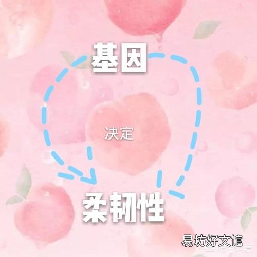 如何提高身体的柔韧性和灵活性?