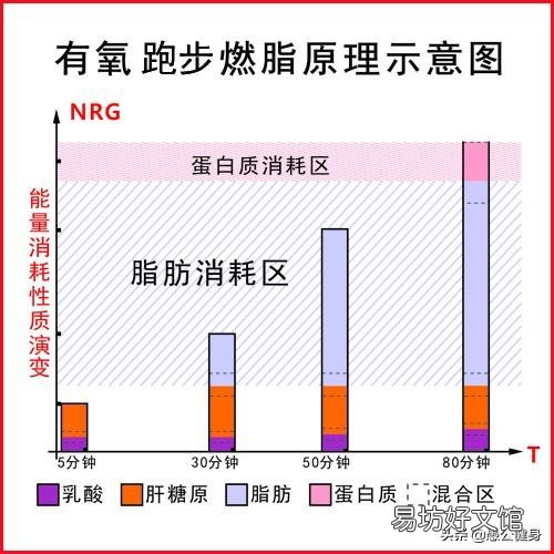 坚持每天慢跑,大概1个半小时,刚开始体重一直在降,后面怎么一点都没降了?