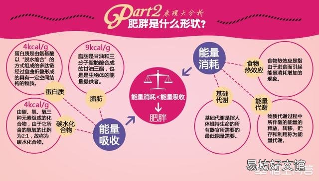 为什么有些在家练腹肌的人的肚子上有一层肥肉减不掉?