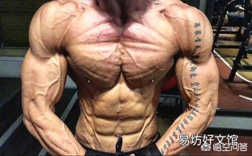 怎么选择蛋白粉还是增肌粉?