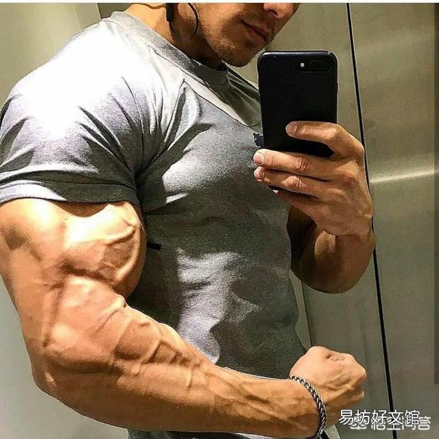 怎么选择蛋白粉还是增肌粉?
