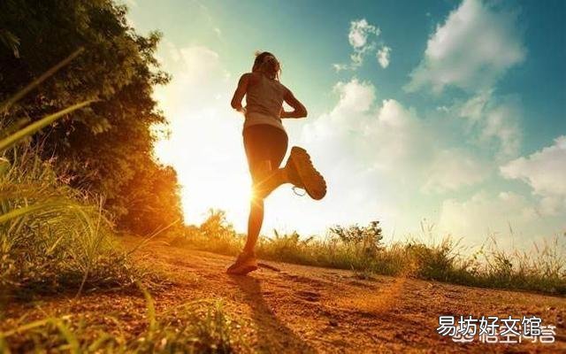 你觉得俯卧撑和跑步相比,哪个更减肥?为什么?