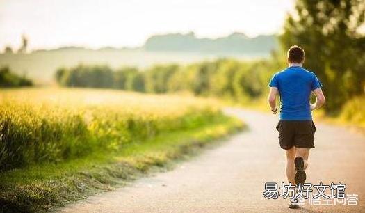你觉得俯卧撑和跑步相比,哪个更减肥?为什么?