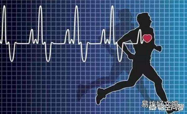 跑步机和划船机比较,哪个锻炼身体效果更好?