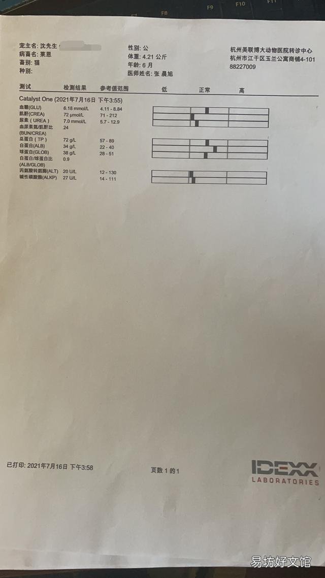 英短品种介绍与图解(英短品种都有哪些)