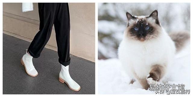 山猫纹布偶(山猫纹是什么意思)