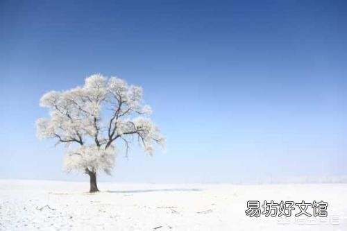 用白云苍墨写首藏头诗,应该怎么写?