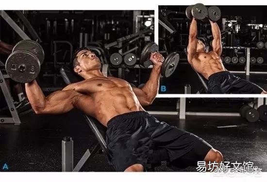 健身是应该从上到下,还是应该从下到上?