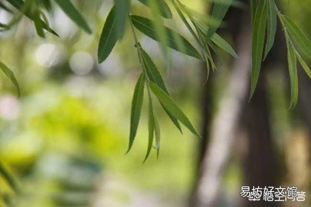 下联：朵朵桃花抖翠枝，上联怎么对？