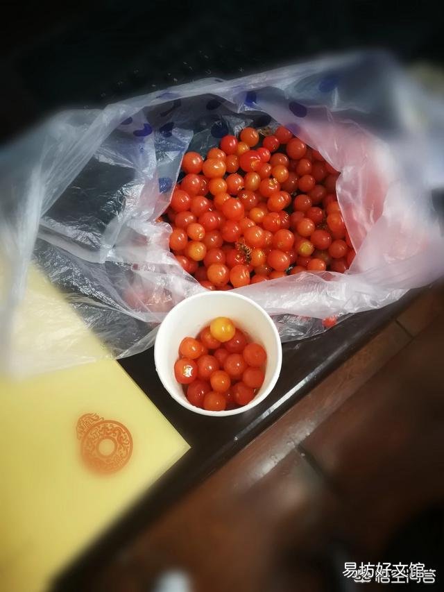 如何根据词牌《长相思》进行填词?