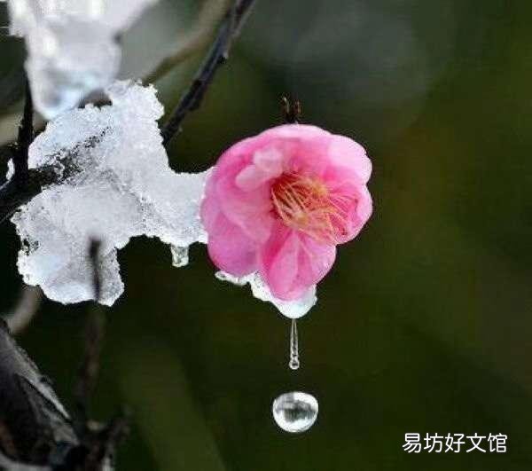 有没有自己写的诗或句?可不可以分享一下?