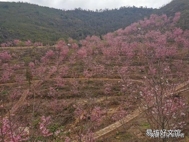 有没有自己写的诗或句?可不可以分享一下?