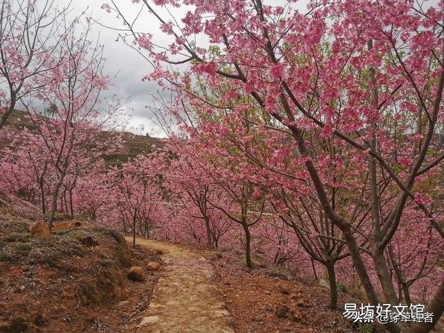 有没有自己写的诗或句?可不可以分享一下?