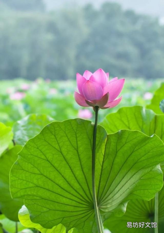 农村返乡的打工人为何都特别有钱，抽的烟都是20元以上的？