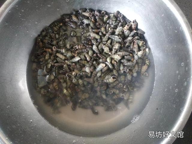 轮船底部为什么会长海鲜？为什么轮船底部的海鲜不可以吃？