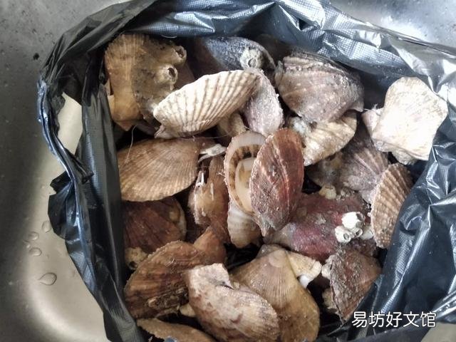 轮船底部为什么会长海鲜？为什么轮船底部的海鲜不可以吃？