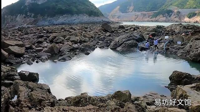 看到很多赶海人抓鱼的视频,海边的水坑真的有那么多鱼吗?