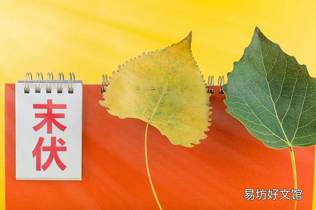 末伏后还要热多久,夏天要过去了吗?