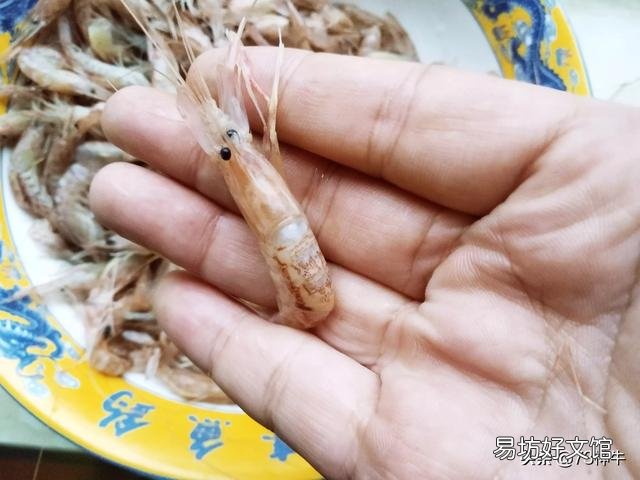 青岛早市,尽管大虾价格大幅下降,但是销量却也出现了下降,这是什么原因?