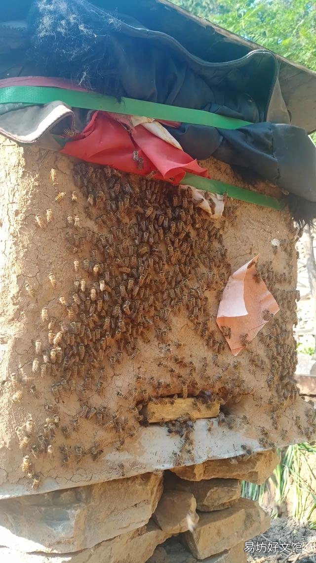 有些超市里500g的蜂蜜卖20元左右,你觉得是真的蜂蜜吗?