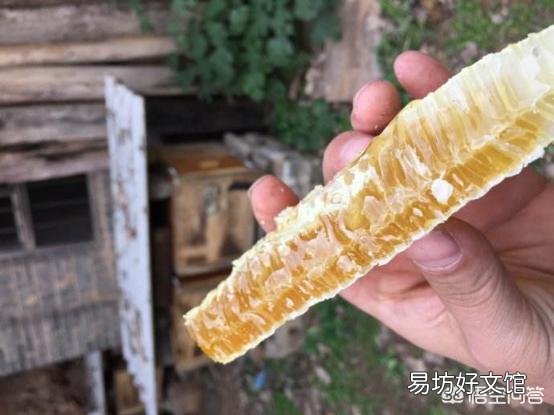 有些超市里500g的蜂蜜卖20元左右,你觉得是真的蜂蜜吗?
