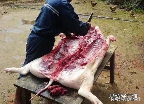 手工杀猪是一种什么体验?