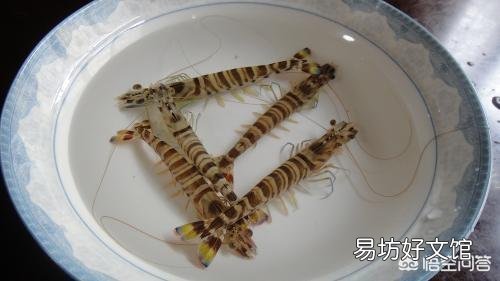 海虾都有哪些,哪种性价比比较高?