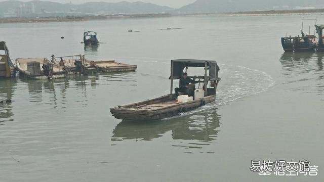 海虾都有哪些,哪种性价比比较高?