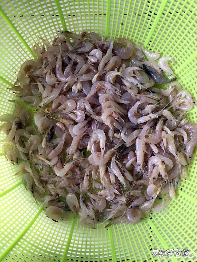海虾都有哪些,哪种性价比比较高?