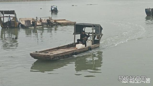 海虾都有哪些,哪种性价比比较高?