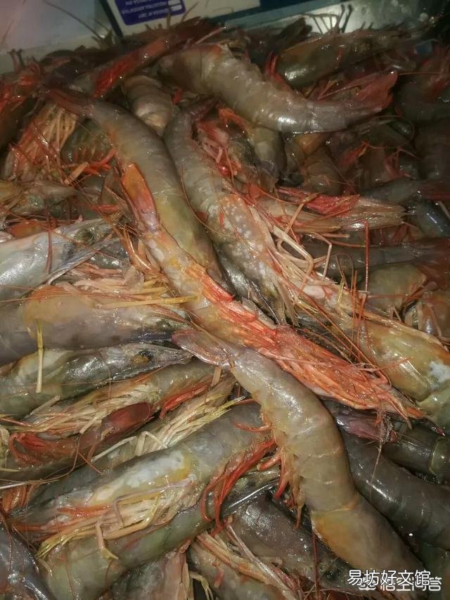 海虾都有哪些,哪种性价比比较高?