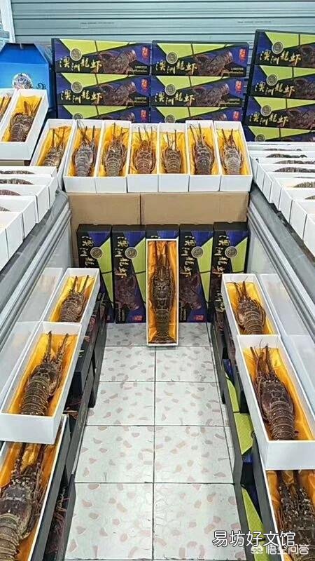 海虾都有哪些,哪种性价比比较高?