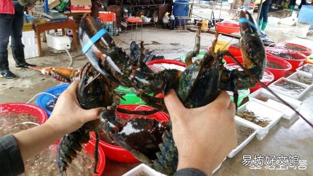 海虾都有哪些,哪种性价比比较高?