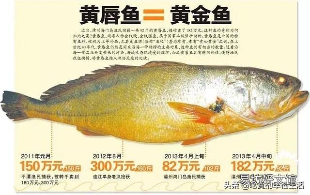 有哪些中国产的顶级食材?