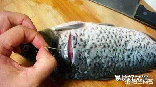有人说“南方人不吃鲤鱼”,是真的吗?为什么不吃鲤鱼?