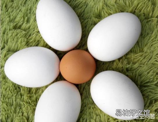 你认为鹅蛋有什么营养价值？